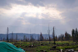 Camping at Whistlers Campground