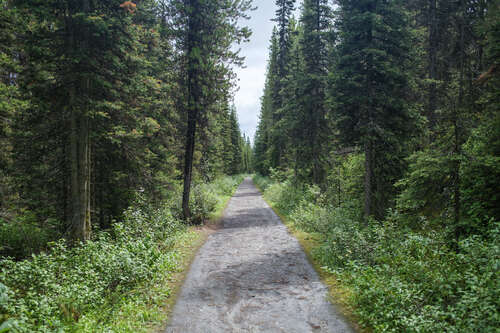 Hike from Parking Lot to Lake Louise