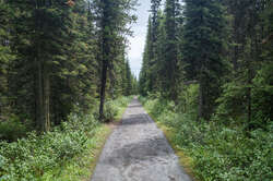 Hike from Parking Lot to Lake Louise