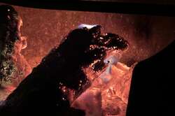 Human tradition for millions of years