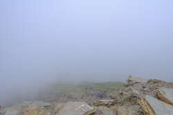 Marmot enjoying the view