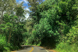 Road to Hana