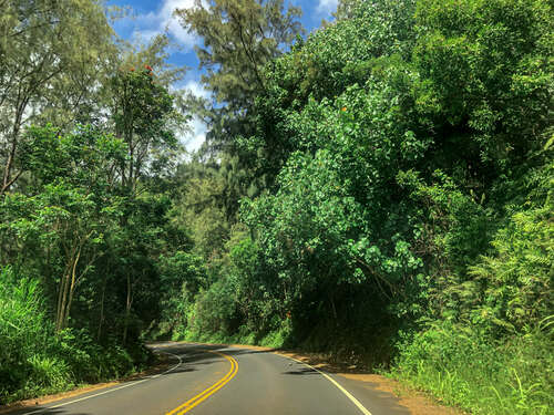 Road to Hana